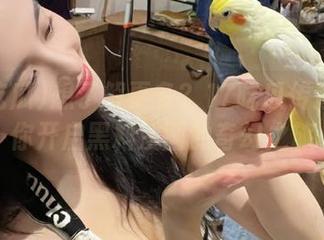 想了解更多?17吃瓜传送门为你开启黑料漫画的奇幻之旅