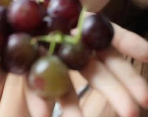17吃瓜网导航,今天想去哪个八卦角落探险?