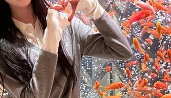 CollectionAlert!655fun.com的趣事都想抱回家!