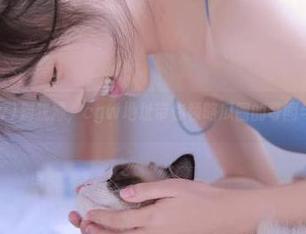 别犹豫，cgw地址带你领略瓜圈的奇闻与趣事