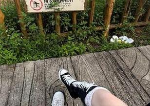 “一起吃瓜”网盘分享的趣闻，居然就是这样扑面而来，果然毫无节操。