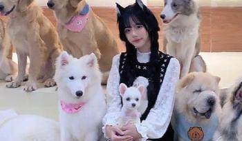吃瓜网91官网，今天的瓜里藏了多少槽点，等你来拆！